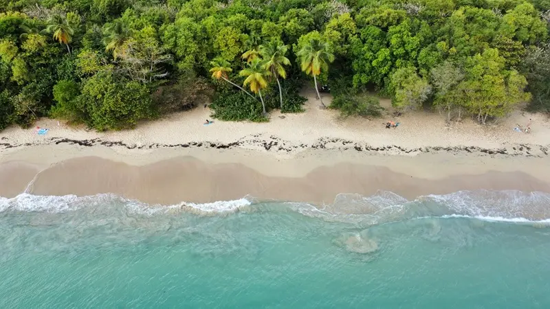 Plage des Salines - Martinique - crédit photo Libra Voyage Travel Planner